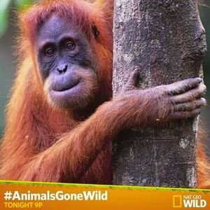 Meet your Posher, Jesse